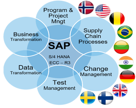Clients & projects graphic summarizing SAP delivery across 28 projects, 17 clients, 10+ countries.